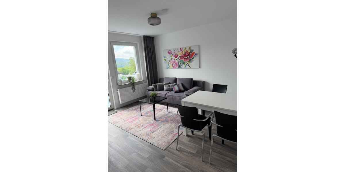 Etagenwohnung Hemer - 1 Zimmer, 43 m&sup2;, 690&euro; | Angebot:26659112