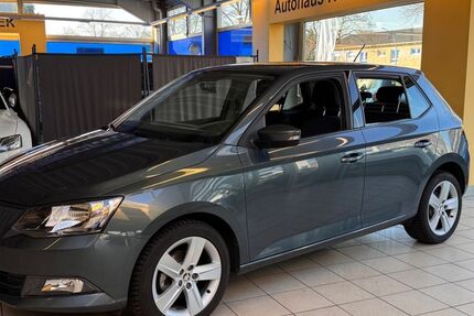 Skoda Fabia 53.928 km 8.950 &euro; Waltrop 45731