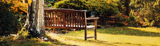 Maximilianpark Hamm Ruhrgebiet Botanik Familien Schmetterlingshaus