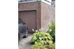 Erdgeschoßwohnung Ahlen Dolberg - 4 Zimmer, 114 m&sup2;, 336.600&euro; | Angebot:27259713