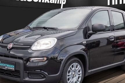 Fiat Panda 11.018 km 14.480 &euro; Lüdinghausen 59348