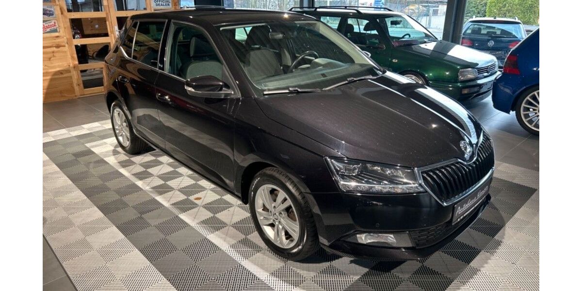 Skoda Fabia 239.800 km 5.990 &euro; Hamm 59073