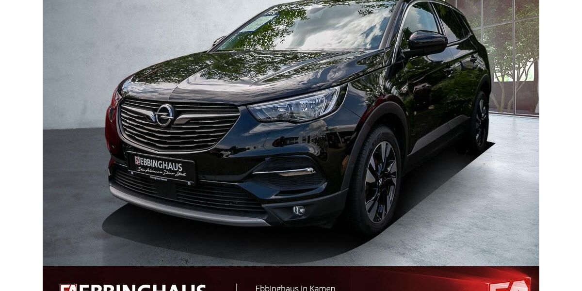 Opel Grandland (X) 108.645 km 12.499 &euro; Kamen 59174