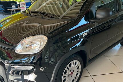 Fiat Panda 12.800 km 11.290 &euro; Iserlohn-Dröschede 58638