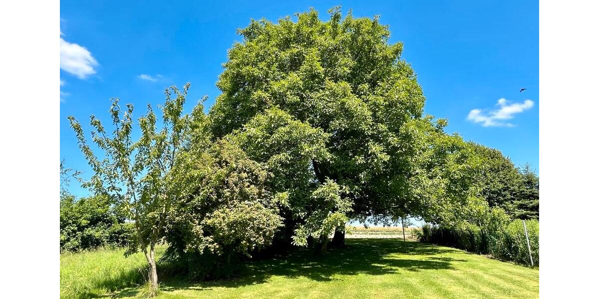 Einfamilienhaus Witten Rüdinghausen - 8 Zimmer, 260 m&sup2;, 1.333.333&euro; | Angebot:27112373