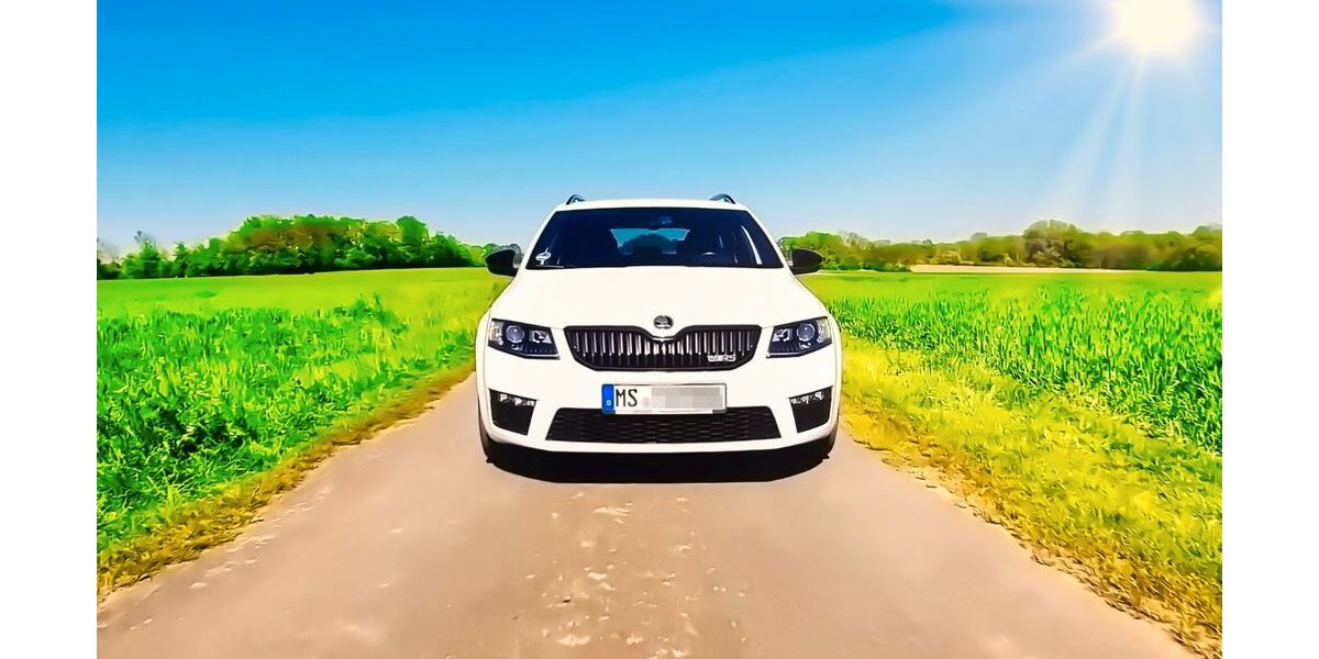 Skoda Octavia 233.253 km 9.199 &euro; Olfen 59399