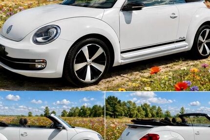 VW Beetle 48.000 km 16.800 &euro; Kamen 59174