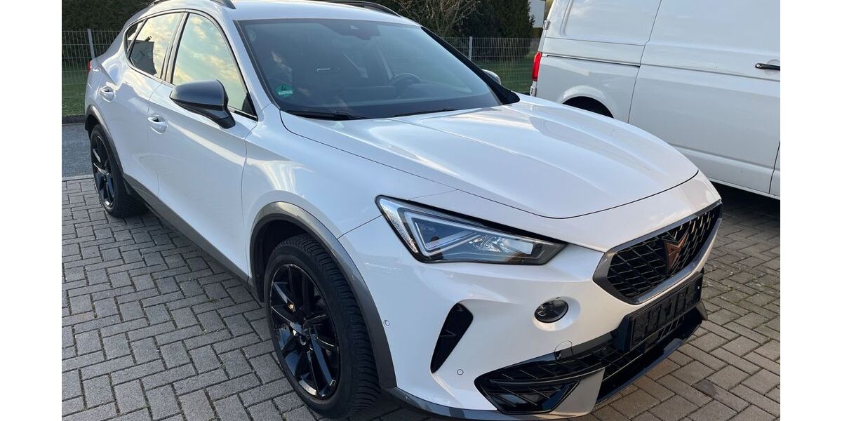 Cupra Formentor 74.554 km 21.900 &euro; Fröndenberg 58730
