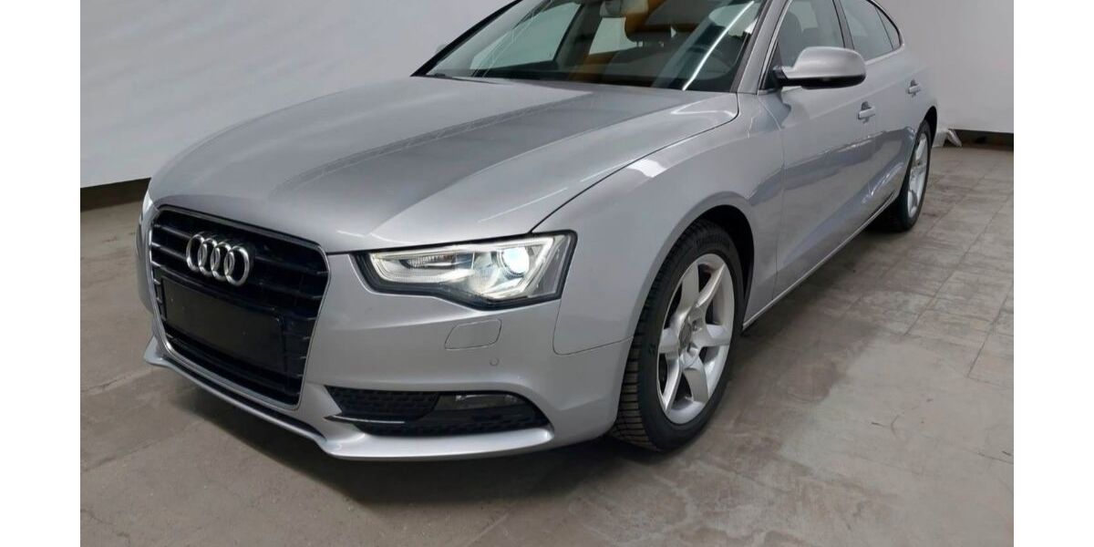Audi A5 119.600 km 16.999 &euro; Hamm 59067