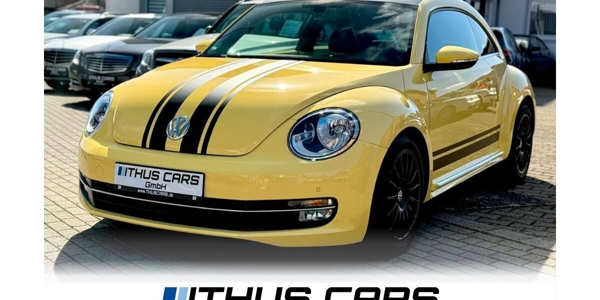 VW Beetle 123.100 km 8.790 &euro; Hamm 59063
