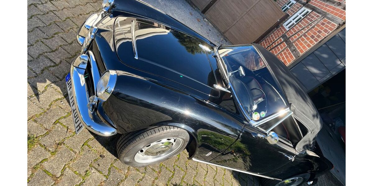 Alfa Romeo Spider 123.456 km 59.000 &euro; Kamen 59174