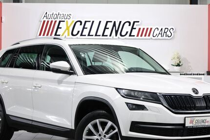 Skoda Kodiaq 190.000 km 17.777 &euro; Hamm 59077