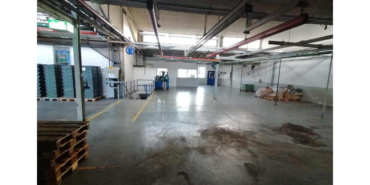 Gewerbeobjekt Ense - 5&euro; | Angebot:19614691