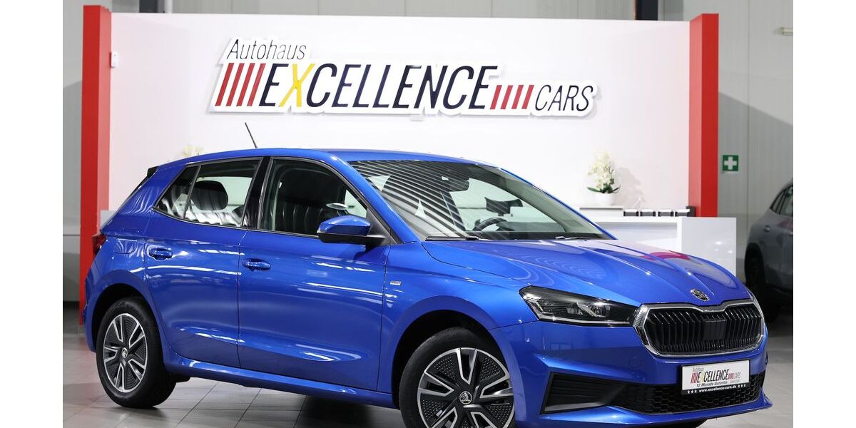 Skoda Fabia 55.000 km 13.444 &euro; Hamm 59077