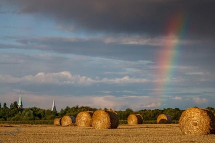 Wohnung Kamen - 3 Zimmer, 72 m&sup2;, 180.000&euro; | Angebot:24817888