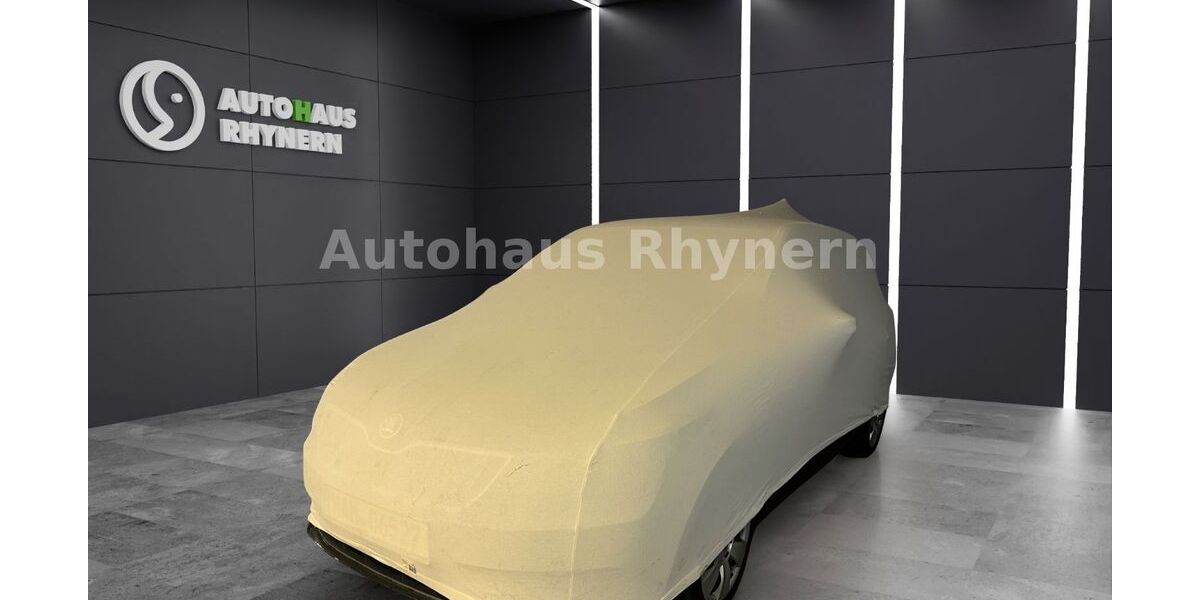 Skoda Rapid 105.000 km 9.980 &euro; Hamm 59069