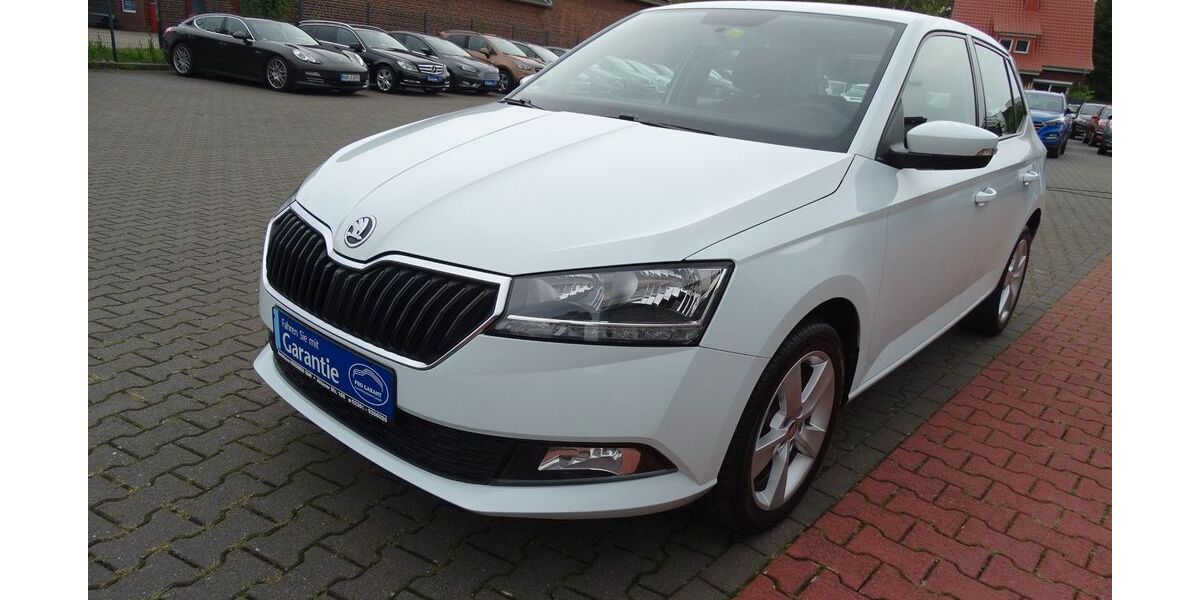 Skoda Fabia 88.000 km 9.490 &euro; Hamm 59073