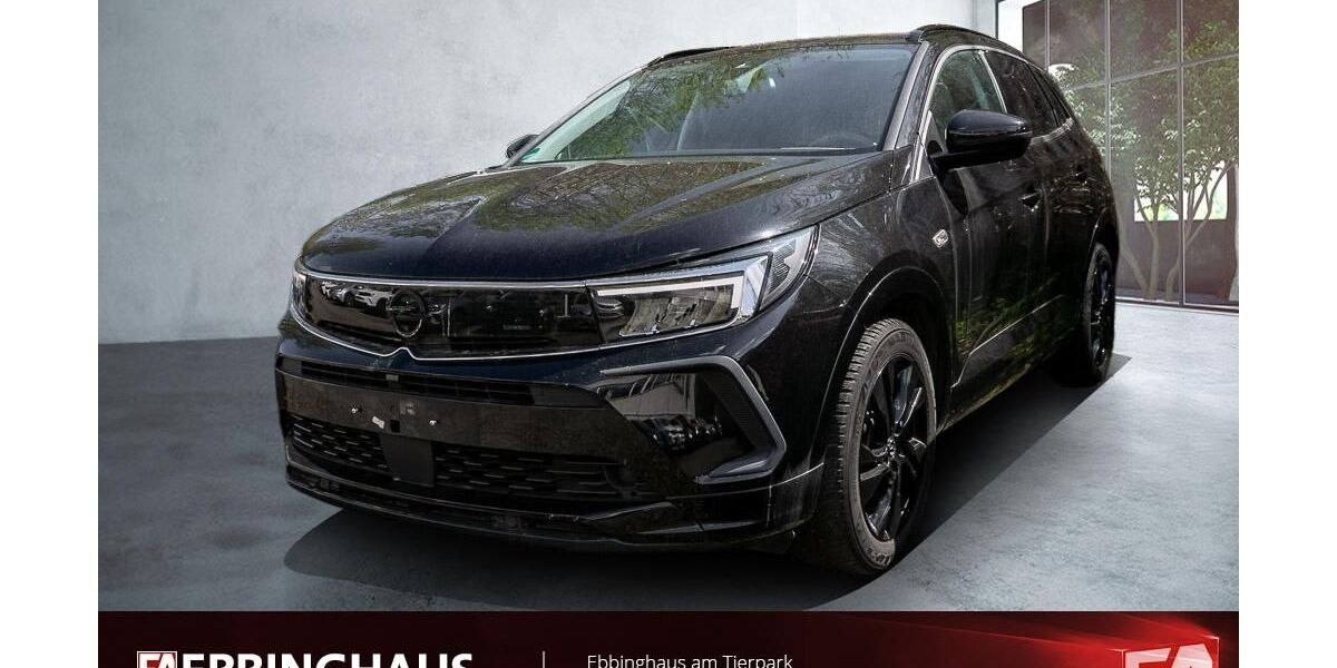 Opel Grandland (X) 32.321 km 19.699 &euro; Dortmund 44225