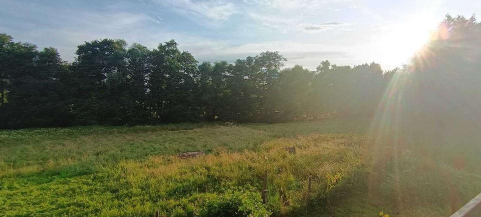 Dachgeschoßwohnung Schwerte - 2 Zimmer, 56 m&sup2;, 565&euro; | Angebot:24431216