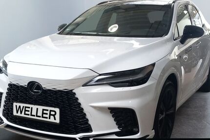 Lexus RX 500 10.000 km 88.975 &euro; Dortmund 44143