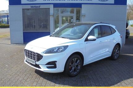 Ford Kuga 52.285 km 25.490 &euro; Hamm 59069