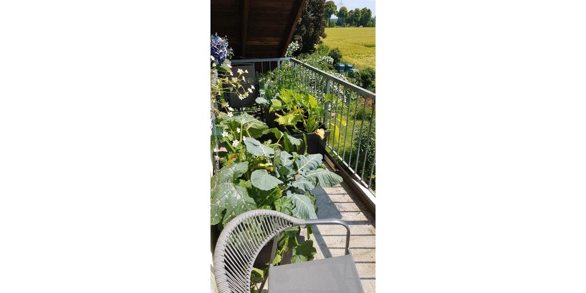 Etagenwohnung Kamen - 2.5 Zimmer, 63 m&sup2;, 259.000&euro; | Angebot:26780590