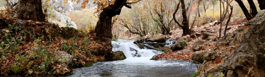 Häupenbad Bergkamen GSW Wasserwelt Freibad Schwimmbad Lippe