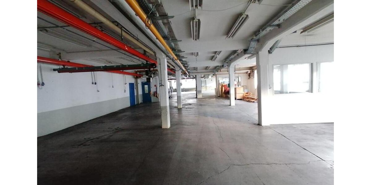 Gewerbeobjekt Ense - 5&euro; | Angebot:19614691