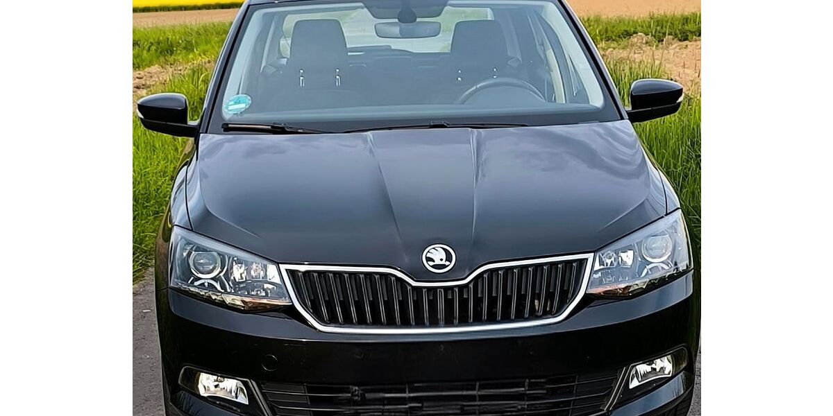Skoda Fabia 119.000 km 8.000 &euro; Welver 59514