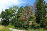 Grundstück Menden Asbeck - 48.000&euro; | Angebot:26119388