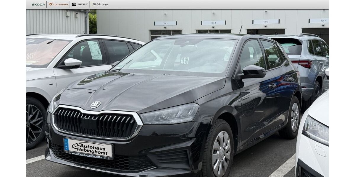 Skoda Fabia 38.325 km 13.990 &euro; Castrop-Rauxel 44579
