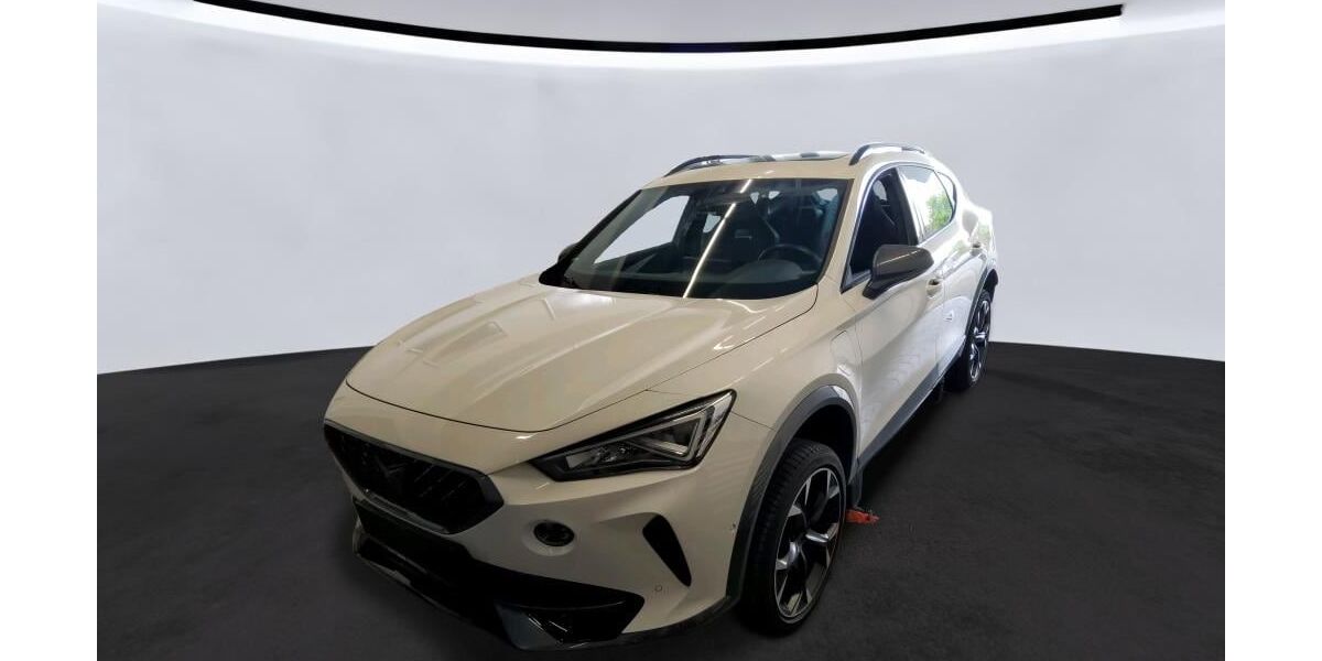 Cupra Formentor 31.198 km 26.488 &euro; Bergkamen 59192