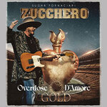 VIP Ticket - Zucchero