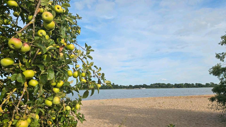 Einfamilienhaus Dortmund - 85.000&euro; | Angebot:26038614